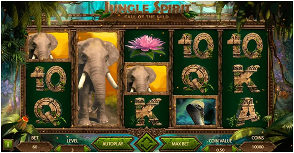 zrzut ekranu automatu do gry Jungle Spirit: Call of the Wild
